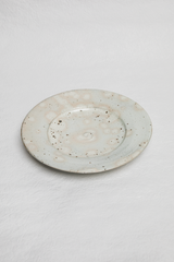 Stoneware Plate with Speckles
