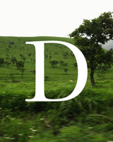 D is for... - ASIATICA
