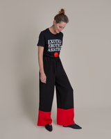 The Latin Lesson T-Shirt