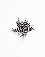 Black and White Striped Silk Flower PinFlower Pins