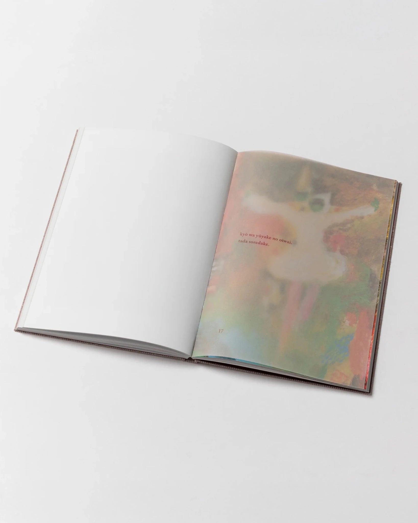 Pictures Before a Picture BookObjects