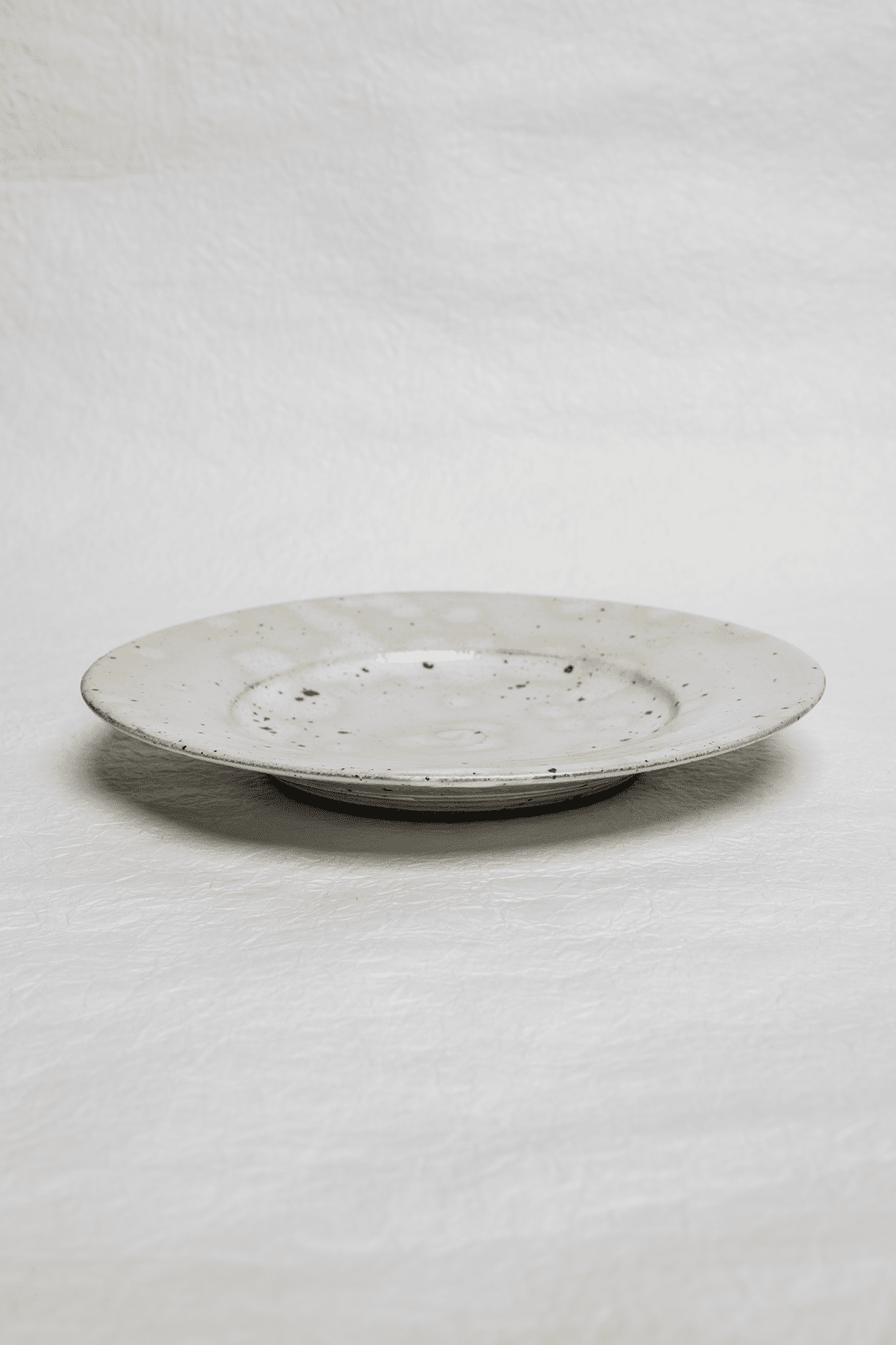 Stoneware Plate with SpecklesServeware